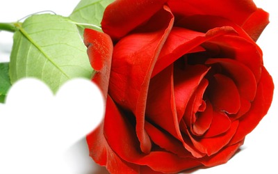 rose rouge coeur Montaje fotografico