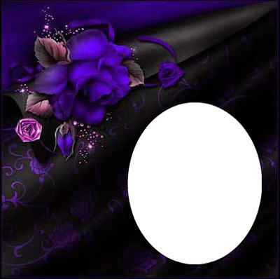 deep purple rose Photo frame effect