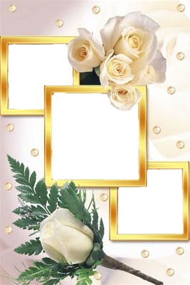 marco para 3 fotos y rosas blancas. Fotomontáž