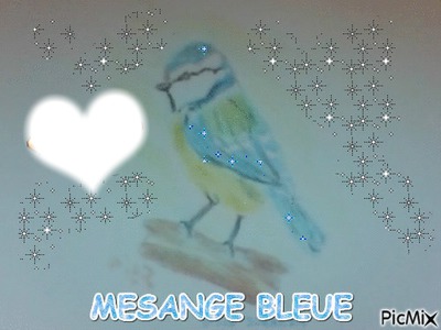 Mésange bleue et coeur dessiner par Gino Gibilaro Fotomontasje