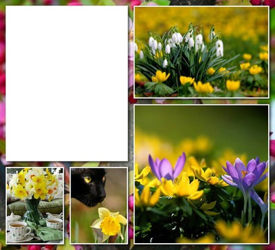 fleurs Photomontage