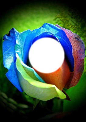 Jolie fleur Fotomontage