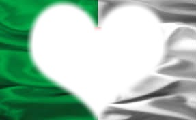drapeau d'algérai 2014 Photomontage