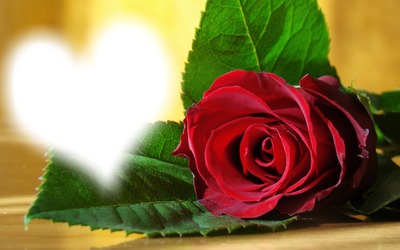 Red Rose Heart Фотомонтажа