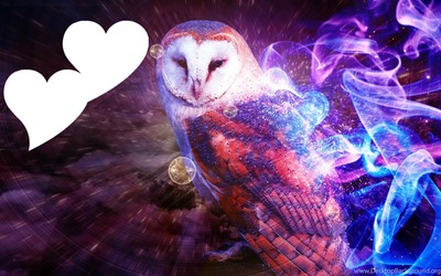 <3 owl Photo frame effect