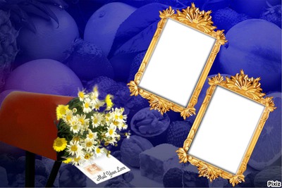 flower Photo frame effect