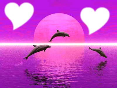 j'ador les dauphin 2 photo Fotomontāža