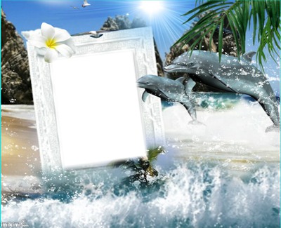 Cadre dauphins et vague Fotomontažas