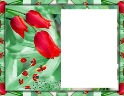 tulipes rouges laly Photomontage