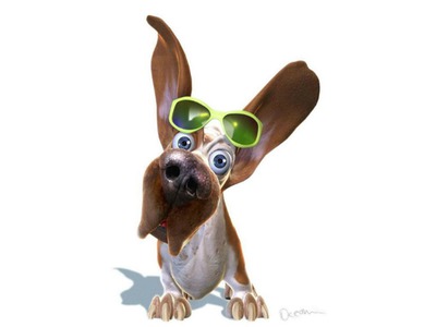 Dog with glasses Photo frame effect