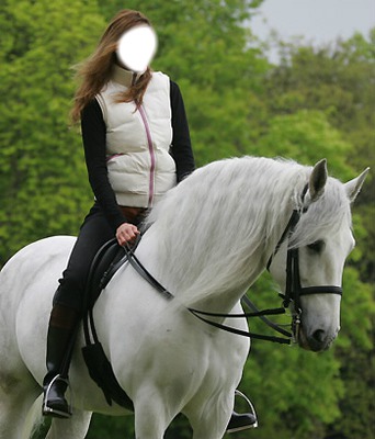 Sur un cheval blanc... Montage photo