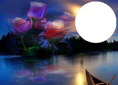 nuit de rose Photo frame effect