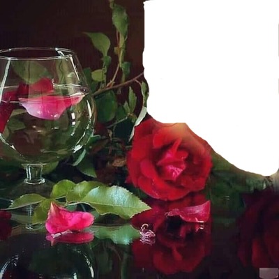 renewilly copa rosa y foto Fotomontaggio