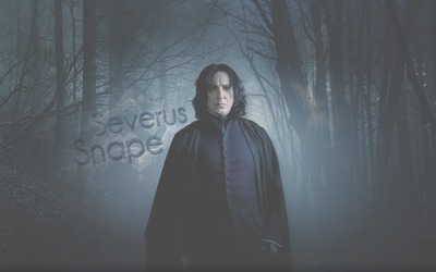 Snape's last sacrifice Photomontage