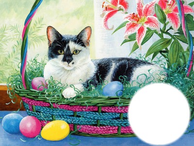 Easter Cat Photo frame effect