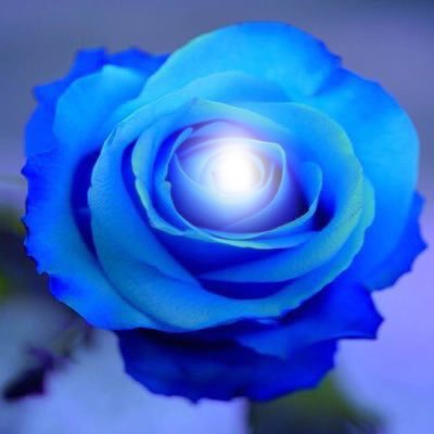 rose bleue Fotomontasje