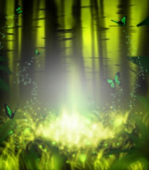 Lueur dans la forêt Fotomontáž