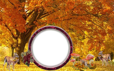 cadre d'automne Photomontage