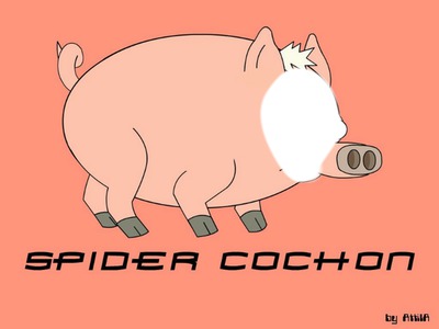 Spider cochon Montage photo