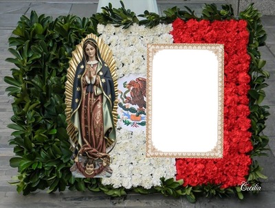 Cc Virgen de Guadalupe Photo frame effect