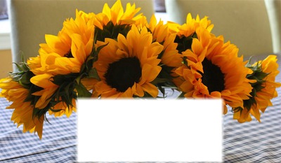 bouquet soleil** Fotomontagem