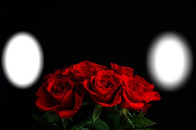 roses 2 Fotomontasje