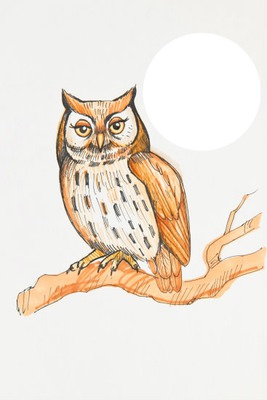 Owl Fotomontaż