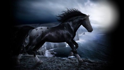 love the horse Photomontage