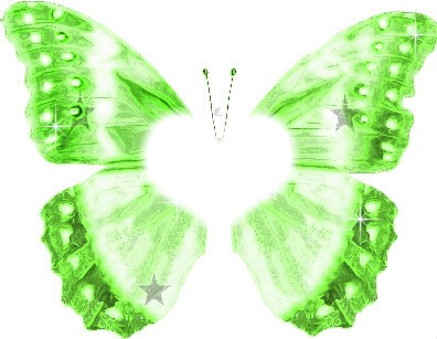 papillon Fotomontaža