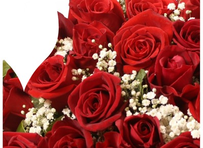 rosas rojas Fotomontaža