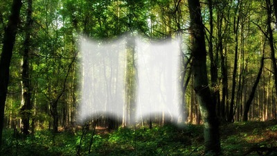 forêt 3 Photomontage