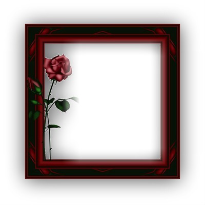 rose frame Photo frame effect