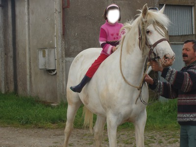 Fille+Cheval Fotomontage