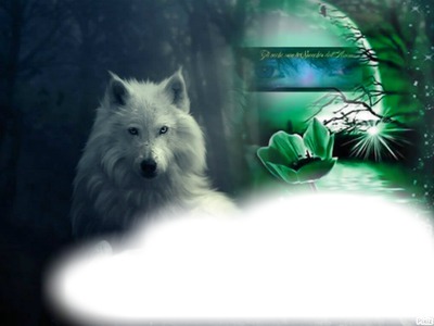 wolf Photo frame effect