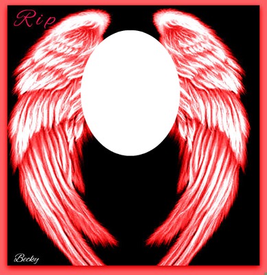red wings Photo frame effect