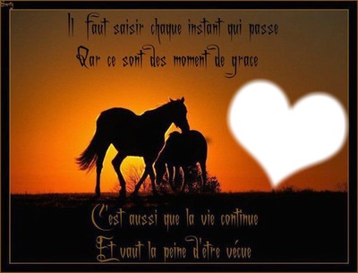amour des chevaux フォトモンタージュ
