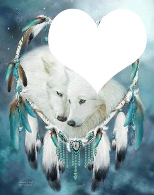 white wolfes Photo frame effect