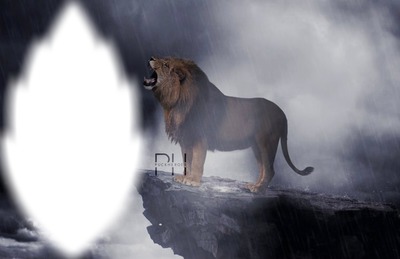 le roi lion film sortie 2019 190 Fotomontasje