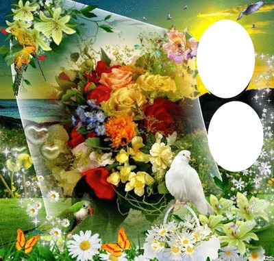 Fleurs-colombe Fotomontage