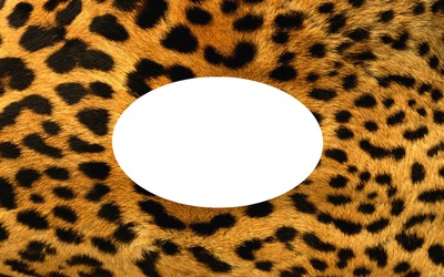 Leopard frame Fotomontasje