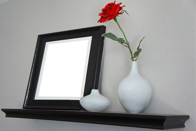 Flower + frame on a shelve Photomontage
