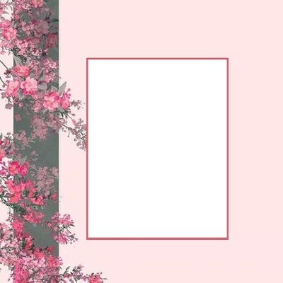 marco y flores rosadas. Fotomontagem