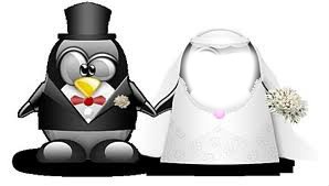 mariage de pingouin :D Fotomontasje