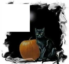 Black cat Fotomontāža