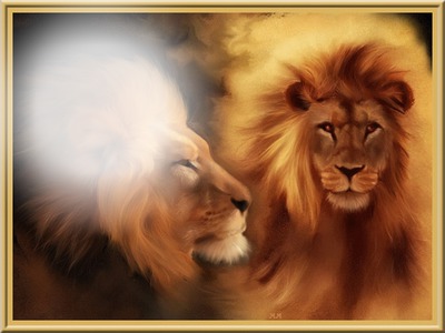 LIONS Photo frame effect