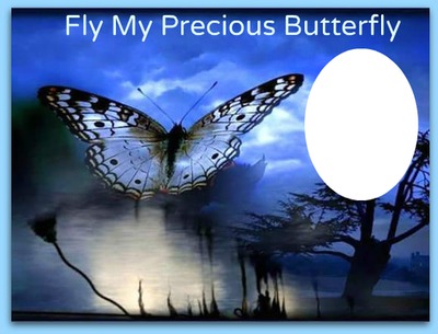 fly butterfly Photo frame effect
