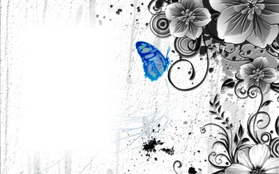 butterfly frame Photomontage