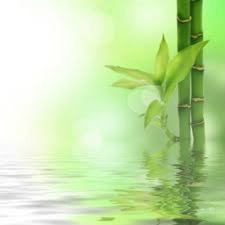 bambou Fotomontaggio
