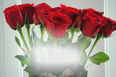 Rosas Feliz Aniversário Fotomontáž