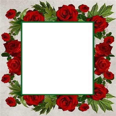 marco y rosas rojas. Photo frame effect